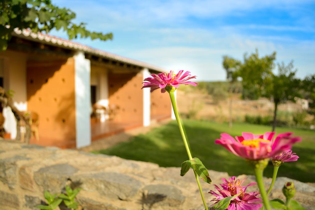 Melrinitas Turismo Rural Hotel Serpa Eksteriør billede